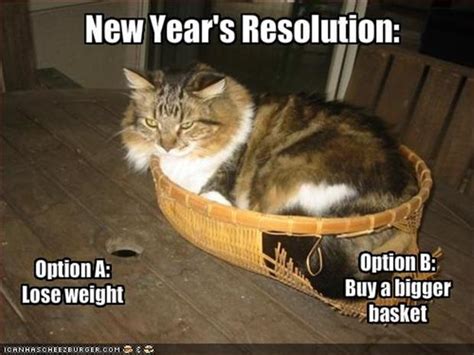 funny new years resolutions 24 pics