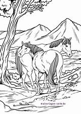 Wildpferde Pferde Ausmalbilder Malvorlage Rennen Reiten sketch template