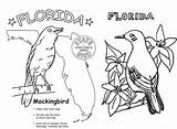Florida Mockingbird sketch template