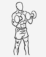 Curl Biceps sketch template