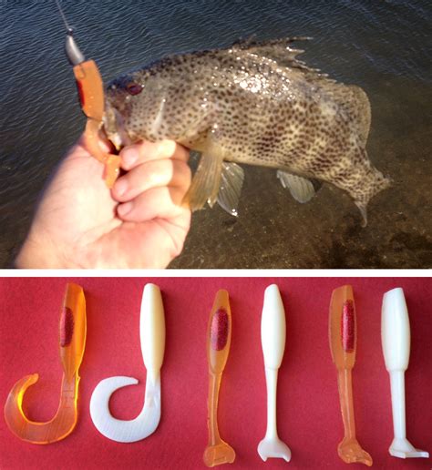 diy fishing lures   printed models  silicone molds