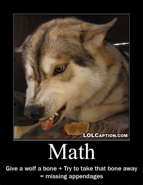 funny demotivational posters wolf maths funny