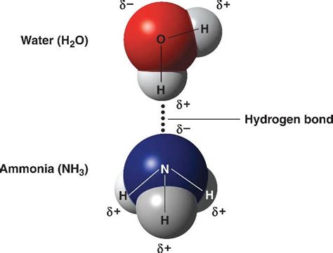 hydrogenbondhtml hydrogenbond ljpg
