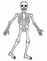 Coloring Skeleton Printablee sketch template