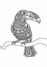 Toucan Coloriage Mandala Colorare Vogel Erwachsene Mandalas Malvorlagen Ausmalbilder Uccelli Adulti Livre Justcolor Adultos Aves Bird Dieren Toekan Oiseaux Sheets sketch template