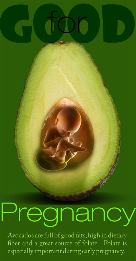 avocados  behance