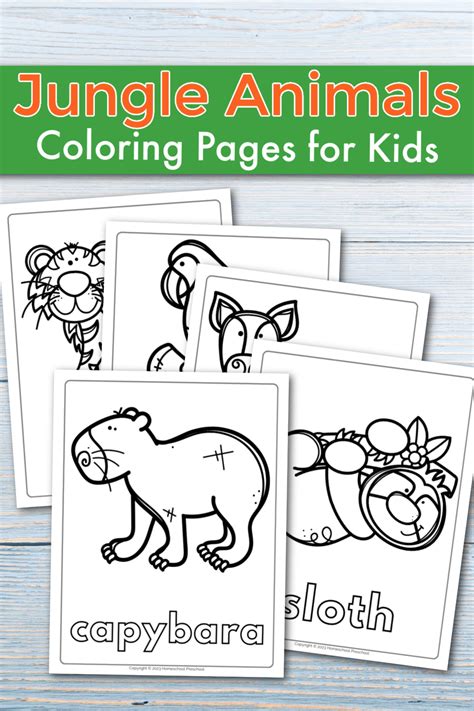 top  jungle animal coloring pages  preschoolers