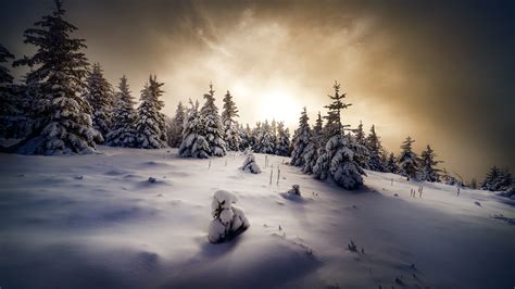 white snow covered mountain  snow covered trees  cloudy sky hd
