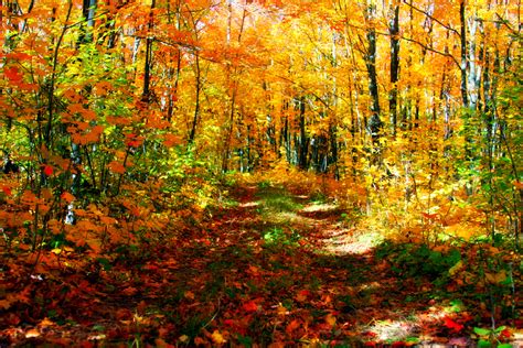 fall hikes close  home canal park