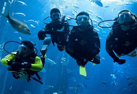scuba diving  dubai united arab emirates skyland tourism