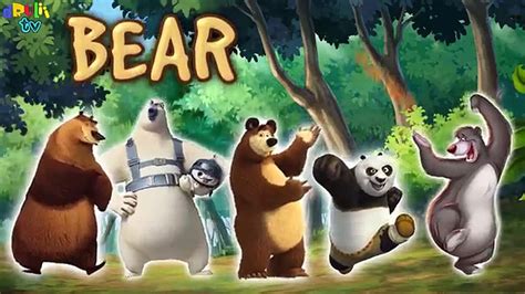 finger family bear cartoon real animals song  children video
