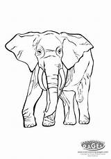 Elephants Savanna sketch template