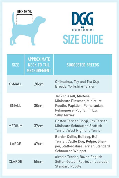dog clothing size chart
