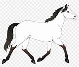 Horse Clipart Coloring Colouring Pages Outline Mustang Clip Horses Pretty Animal Pinclipart Info Transparent Sheet Line Nicepng Middle sketch template