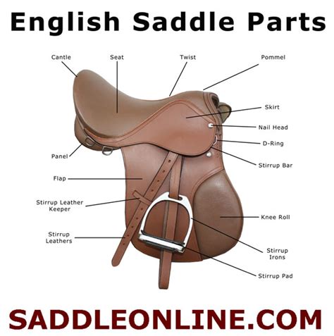 parts   western bridle worksheet google search horse riding tips english saddle horse
