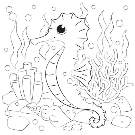 seahorse coloring page  printable coloring pages