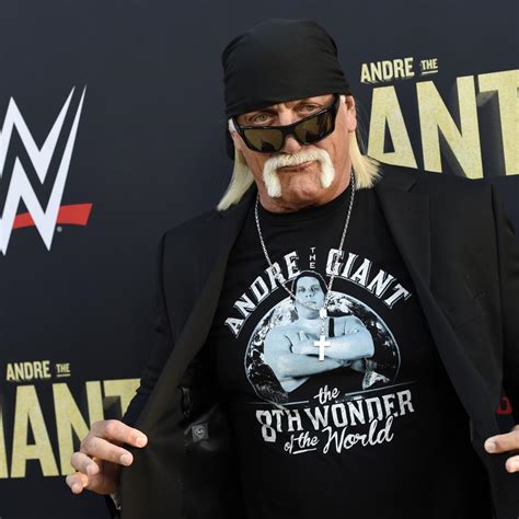 Hulk Hogan S 110m Lawsuit With Cox Radio Over Sex Tape Reaches