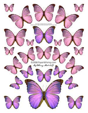 pin  ella beck   crafts   butterfly printable butterfly