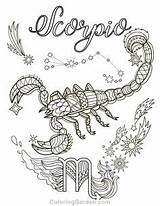 Scorpio Zodiac Colouring Sternzeichen Coloriages Skorpion Tattoo Adultes Zodiaque Taurus Signe Adulte Shadows Aileen Fischer Astrologie Astral Crayon sketch template