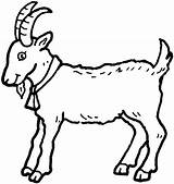 Goat Coloring Pages Goats Color Animals Colouring Printable Bleating sketch template