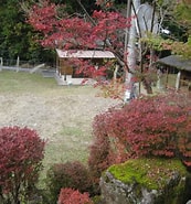 Image result for 築上郡築上町寒田. Size: 173 x 185. Source: shimizu-zouen.net