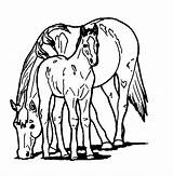 Horse Coloring Pages Printable Kids sketch template