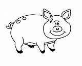 Cerdito Imprimir Dibujar Cerdo Cochon Cerdos Actividades Imprimer Coloriage Pinten sketch template