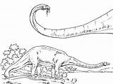 Diplodocus Dinosaur Coloring Sauropod Pages sketch template