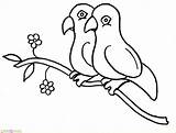 Sketsa Hewan Marimewarnai Burung sketch template