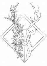 Cerf Origami Venados Tete Geometrique Rehe Deers Colorare Mandala Malbuch Erwachsene Adultos Disegno Cervo Coloriage Cervi Playas Adulti Geometrical Flowery sketch template