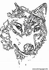 Coloring Wolf Pages Animal Head Adults Adult Animals Detailed Gif Mandala Printable Wolves Book Color Choose Board Info sketch template