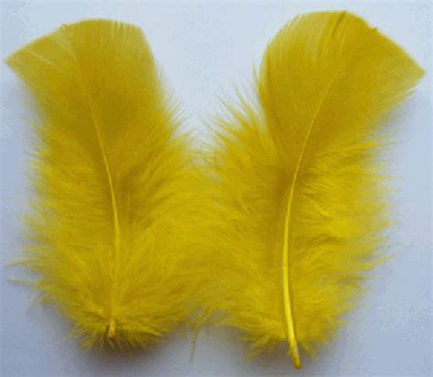smileyme offers bright yellow feathers  assorted styles typesfind yellow colored feathers