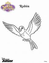 Coloring Robin Pigeon Pages Sofia First Disney Print sketch template