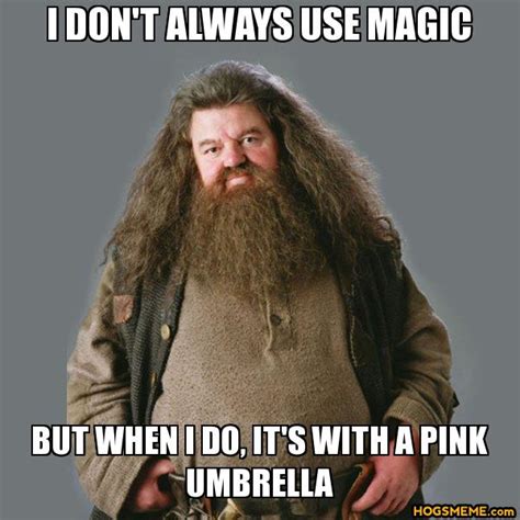 Harry Potter Memes Why On Earth Did Hagrid Choose A Pink