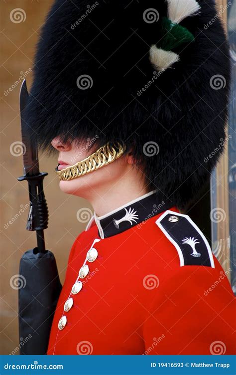 royal guard editorial stock photo image  duty bearskin