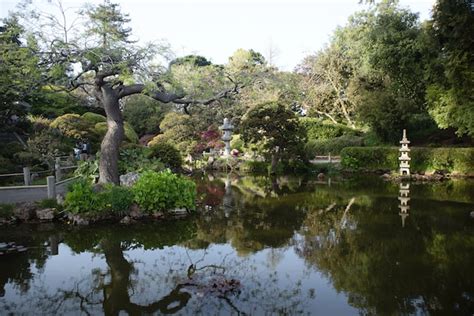 japanese tea garden san francisco connecting traveller