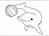 Dolphin Colorare Golfinhos Golfinho Animali Imagens Delfini Colorat Disegni Delfin Dolfijn Marini Delfino Desene Printable Delphine Acquatici Drawing Planse Copii sketch template