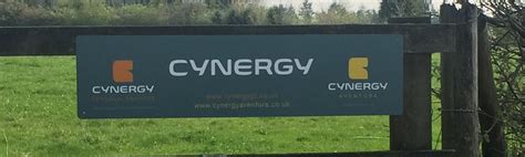 cynergy personal trainers fitness training  running  cycling