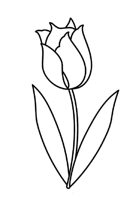 disegno  tulipano da colorare disegni da colorare  stampare gratis