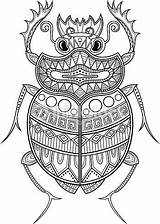Coloring Scarab Insect sketch template