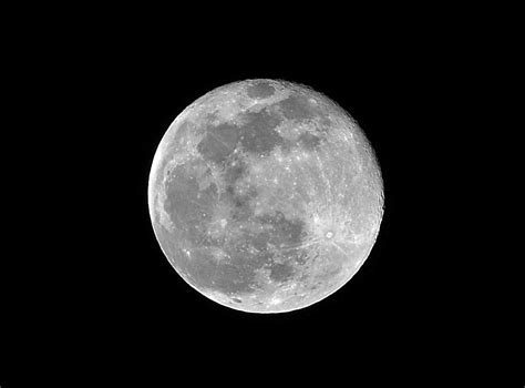 big full moon  photo  freeimages
