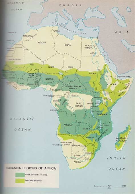 african savannah location  classification