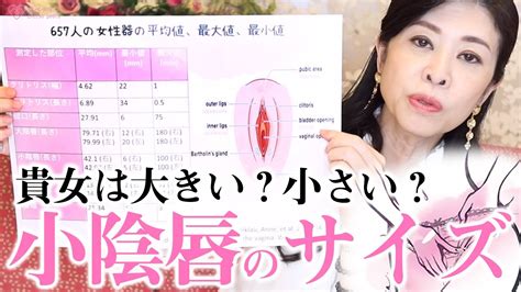 【あなたの女性器のサイズは？】女性器（小陰唇）の平均サイズについて産婦人科専門医の丹羽咲江院長が解説します Youtube