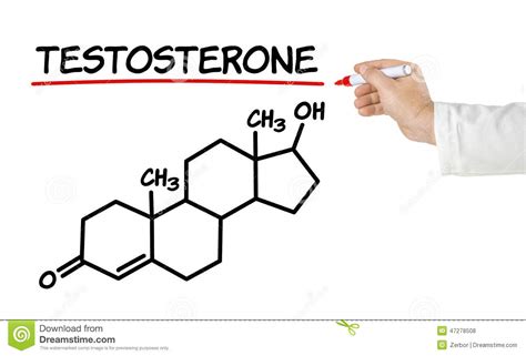 Chemical Formula Of Testosterone Stock Illustration Image 47278508