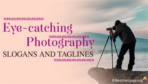 eye catching photography slogans  great taglines