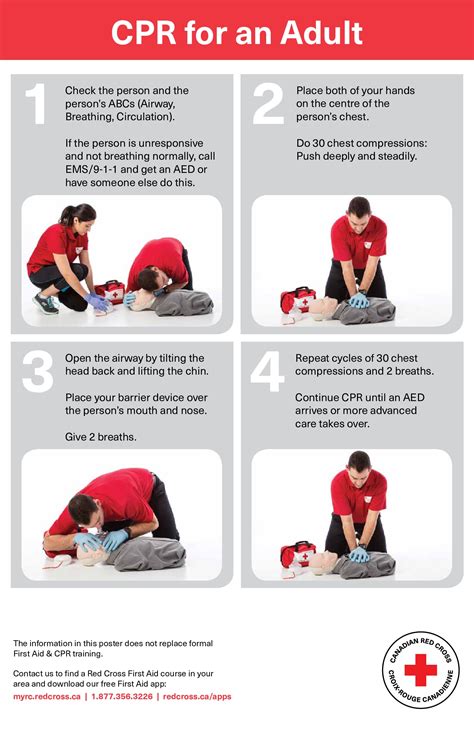 free first aid red cross adult cpr labor law poster 2020