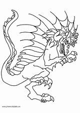 Drache Malvorlage Colorare Draak Drago Disegno Coloriage Wart Ausmalbilder Drachen Ausdrucken Dragone Malvorlagen Tekeningen sketch template