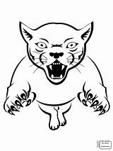 Puma Lion Mountain Drawing Cougar Coloring Pages Getdrawings Kids Head sketch template