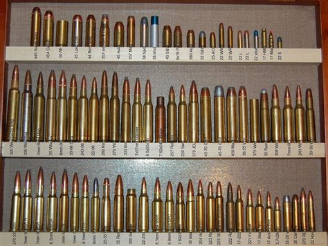 ammo  gun collector  nice ammo collections pictures