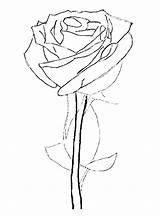 Rose Garden Clipartmag Drawing Coloring Pages sketch template
